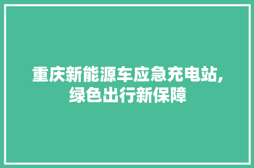 重庆新能源车应急充电站,绿色出行新保障