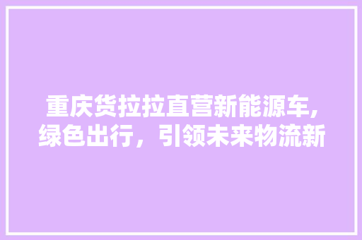 重庆货拉拉直营新能源车,绿色出行，引领未来物流新风尚