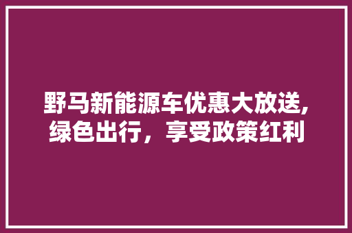野马新能源车优惠大放送,绿色出行，享受政策红利