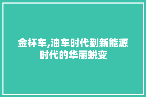 金杯车,油车时代到新能源时代的华丽蜕变