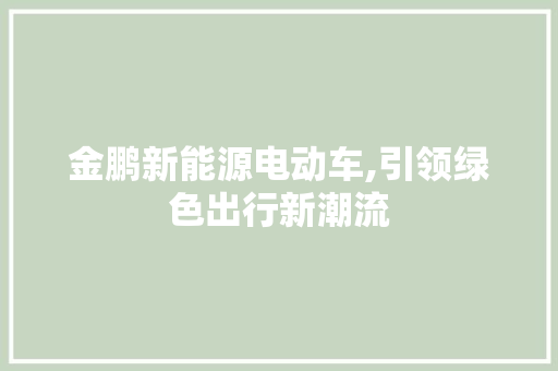 金鹏新能源电动车,引领绿色出行新潮流