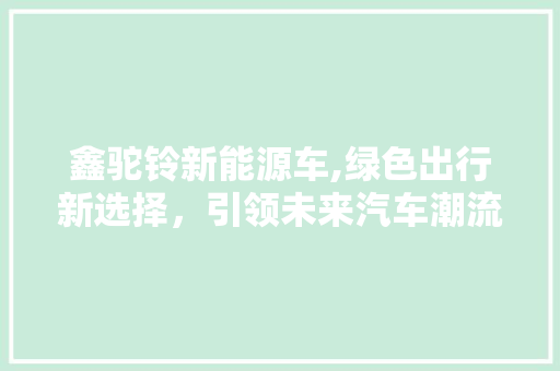 鑫驼铃新能源车,绿色出行新选择，引领未来汽车潮流