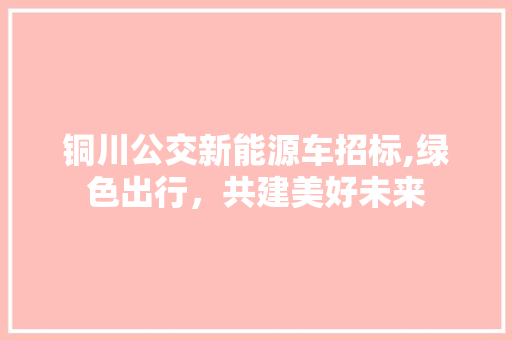 铜川公交新能源车招标,绿色出行，共建美好未来