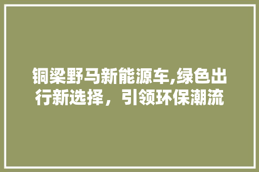 铜梁野马新能源车,绿色出行新选择，引领环保潮流