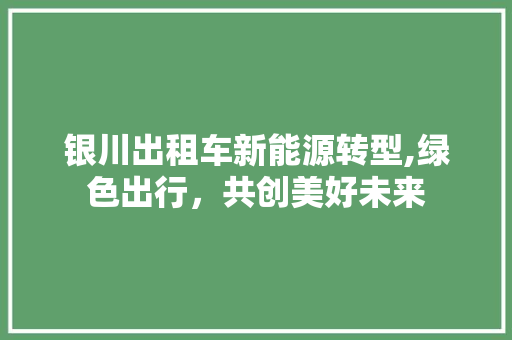 银川出租车新能源转型,绿色出行，共创美好未来