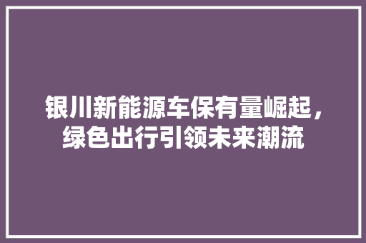 银川新能源车保有量崛起，绿色出行引领未来潮流
