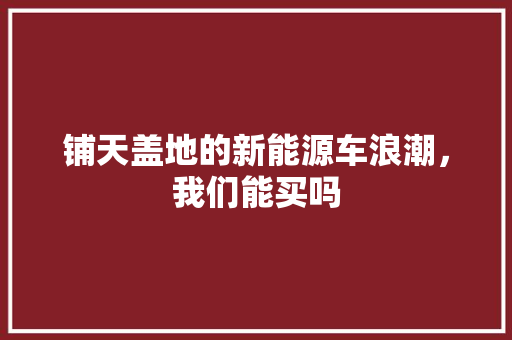 铺天盖地的新能源车浪潮，我们能买吗