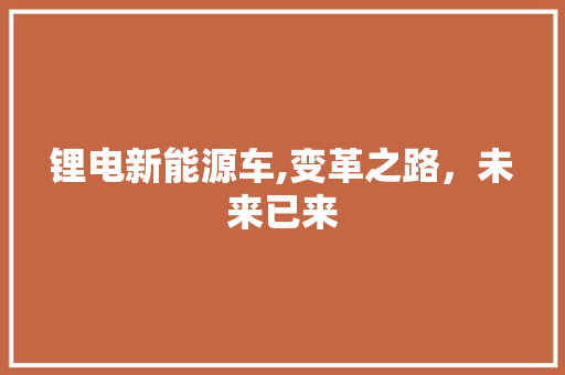锂电新能源车,变革之路，未来已来