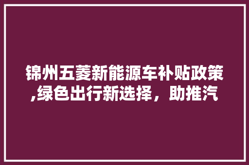 锦州五菱新能源车补贴政策,绿色出行新选择，助推汽车产业转型升级