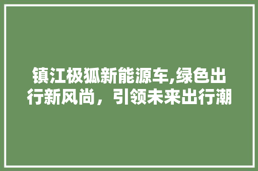镇江极狐新能源车,绿色出行新风尚，引领未来出行潮流