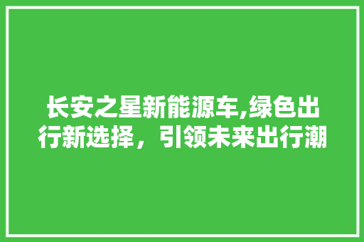 长安之星新能源车,绿色出行新选择，引领未来出行潮流