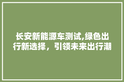 长安新能源车测试,绿色出行新选择，引领未来出行潮流