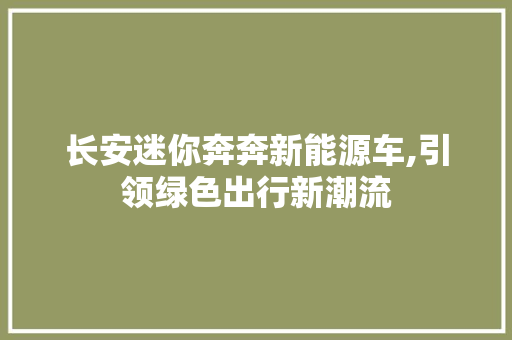 长安迷你奔奔新能源车,引领绿色出行新潮流