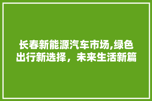 长春新能源汽车市场,绿色出行新选择，未来生活新篇章