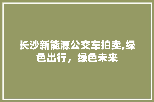 长沙新能源公交车拍卖,绿色出行，绿色未来