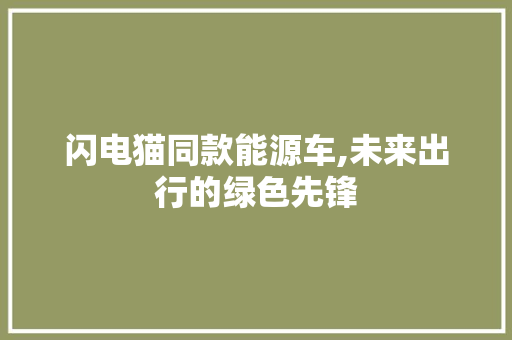 闪电猫同款能源车,未来出行的绿色先锋