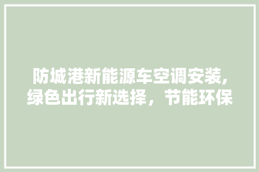 防城港新能源车空调安装,绿色出行新选择，节能环保新趋势
