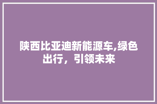 陕西比亚迪新能源车,绿色出行，引领未来