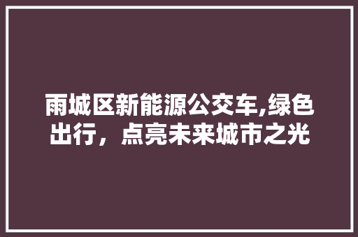 雨城区新能源公交车,绿色出行，点亮未来城市之光