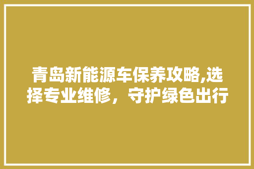 青岛新能源车保养攻略,选择专业维修，守护绿色出行