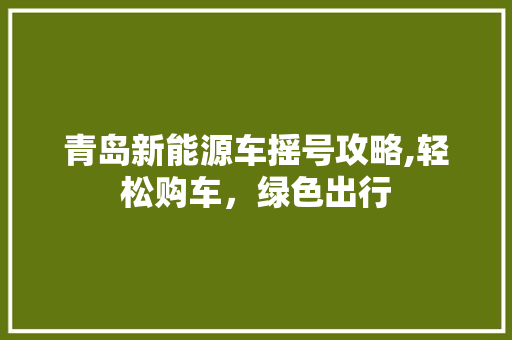 青岛新能源车摇号攻略,轻松购车，绿色出行