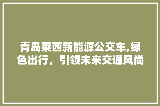 青岛莱西新能源公交车,绿色出行，引领未来交通风尚