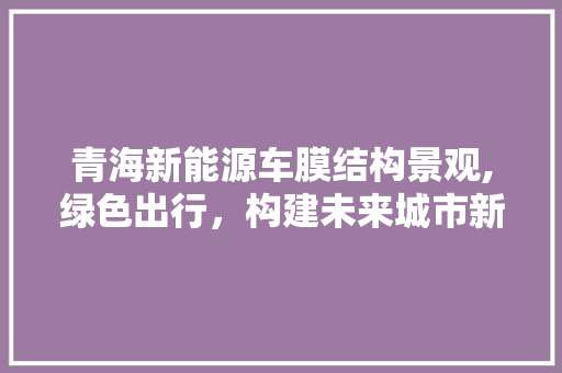 青海新能源车膜结构景观,绿色出行，构建未来城市新地标