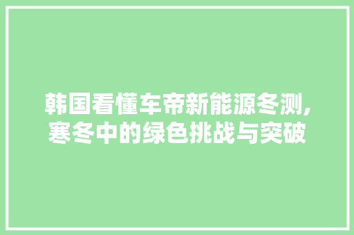 韩国看懂车帝新能源冬测,寒冬中的绿色挑战与突破