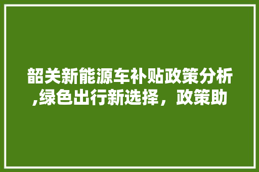 韶关新能源车补贴政策分析,绿色出行新选择，政策助力未来出行