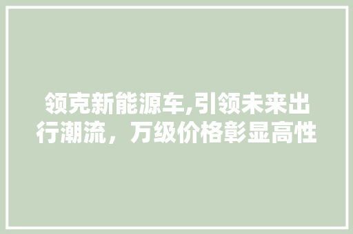 领克新能源车,引领未来出行潮流，万级价格彰显高性价比