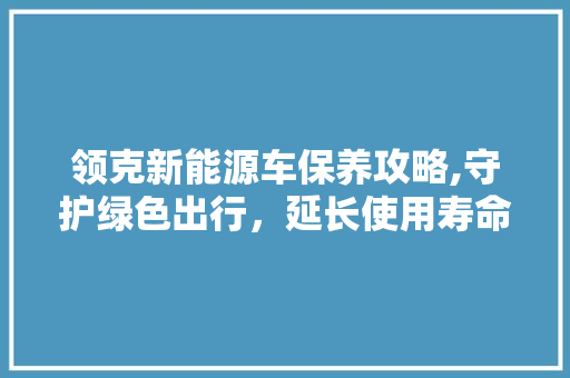 领克新能源车保养攻略,守护绿色出行，延长使用寿命