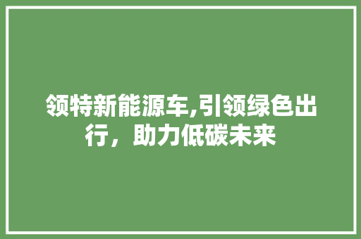 领特新能源车,引领绿色出行，助力低碳未来