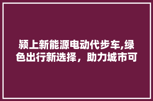 颍上新能源电动代步车,绿色出行新选择，助力城市可持续发展
