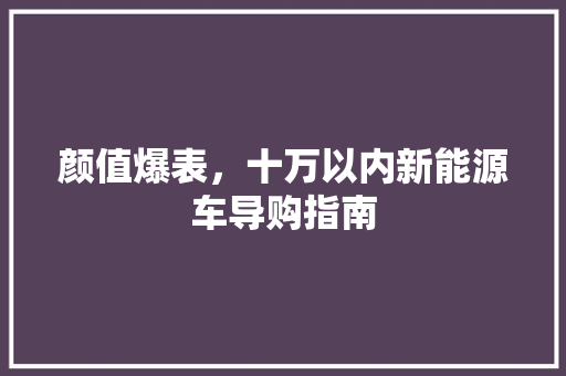 颜值爆表，十万以内新能源车导购指南
