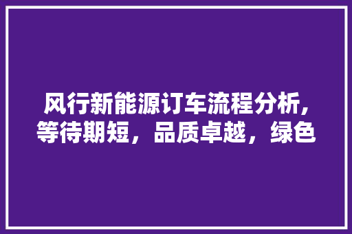 风行新能源订车流程分析,等待期短，品质卓越，绿色出行新选择