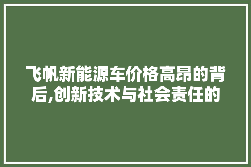 飞帆新能源车价格高昂的背后,创新技术与社会责任的完美融合