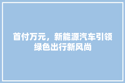 首付万元，新能源汽车引领绿色出行新风尚