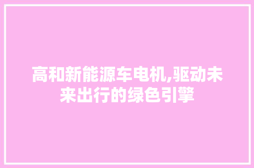 高和新能源车电机,驱动未来出行的绿色引擎
