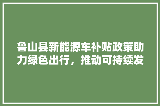鲁山县新能源车补贴政策助力绿色出行，推动可持续发展