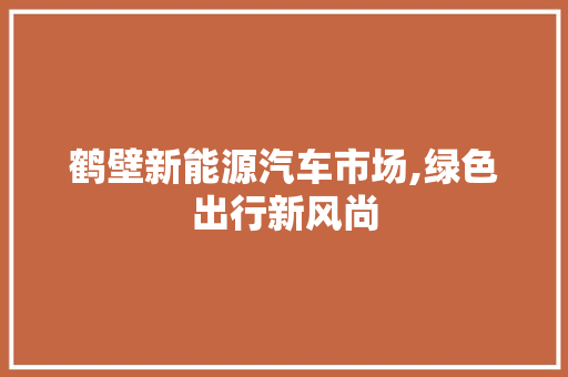 鹤壁新能源汽车市场,绿色出行新风尚