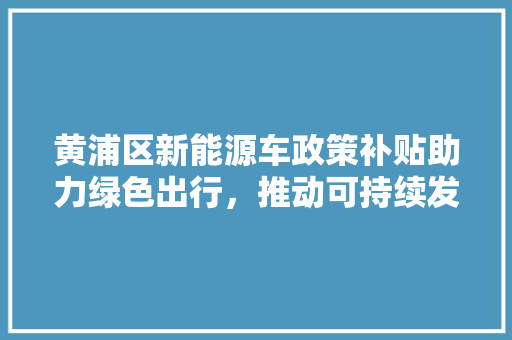 黄浦区新能源车政策补贴助力绿色出行，推动可持续发展