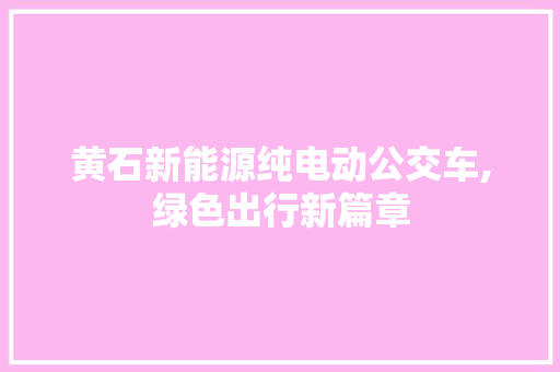 黄石新能源纯电动公交车,绿色出行新篇章