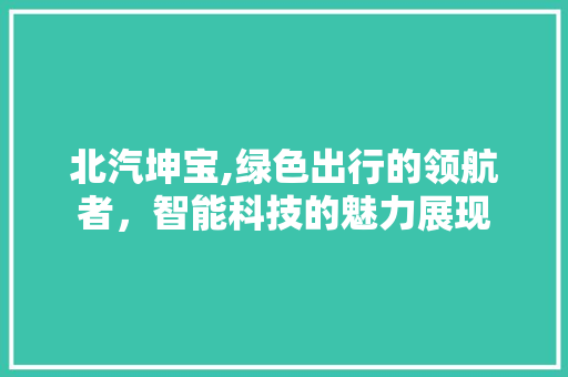 北汽坤宝,绿色出行的领航者，智能科技的魅力展现