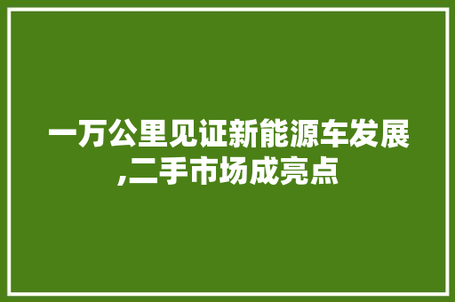 一万公里见证新能源车发展,二手市场成亮点