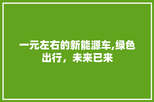 一元左右的新能源车,绿色出行，未来已来