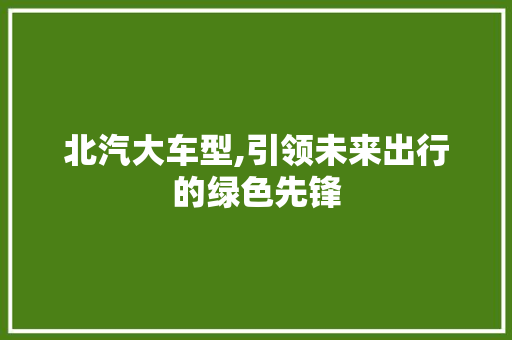 北汽大车型,引领未来出行的绿色先锋