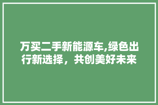 万买二手新能源车,绿色出行新选择，共创美好未来