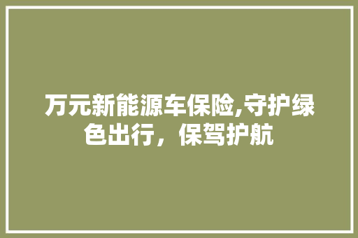 万元新能源车保险,守护绿色出行，保驾护航