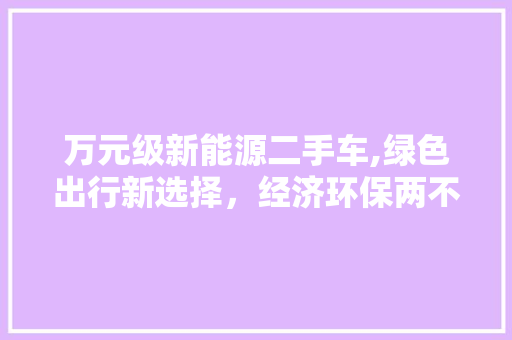 万元级新能源二手车,绿色出行新选择，经济环保两不误
