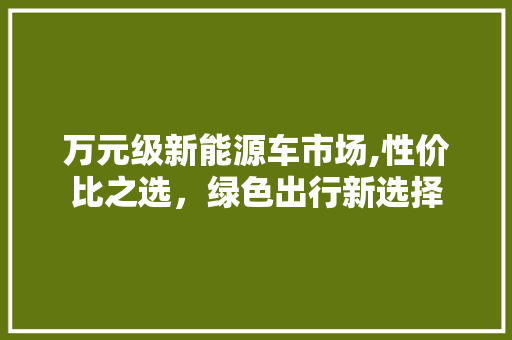 万元级新能源车市场,性价比之选，绿色出行新选择
